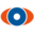 optic nerve ai logo